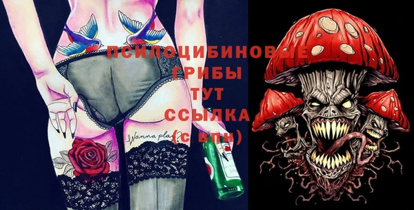 а пвп мука Абаза