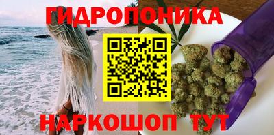 стафф Можга