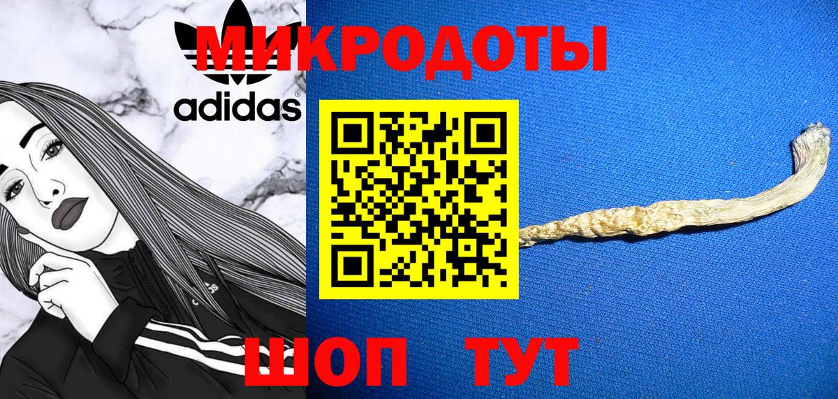 Галлюциногенные грибы Psilocybine cubensis Заволжье