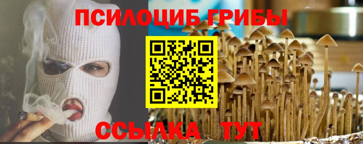 Галлюциногенные грибы Psilocybine cubensis  Вход с VPN  закладки  Заволжье 
